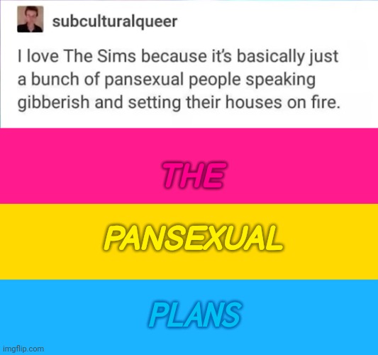 THE; PANSEXUAL; PLANS | made w/ Imgflip meme maker