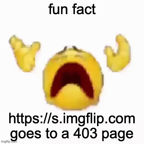 :nooo: | fun fact; https://s.imgflip.com goes to a 403 page | image tagged in nooo | made w/ Imgflip meme maker