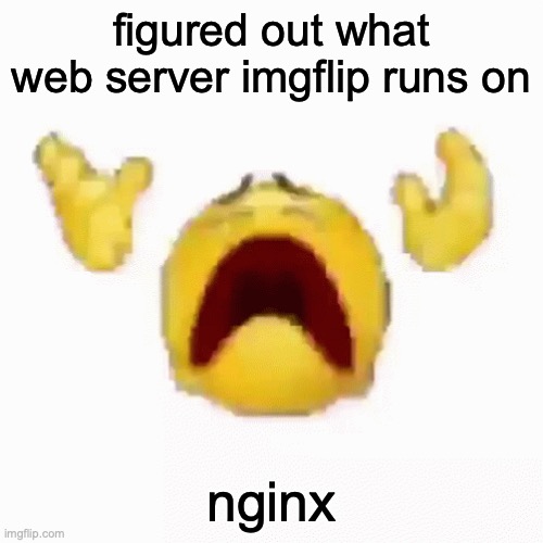 :nooo: | figured out what web server imgflip runs on; nginx | image tagged in nooo | made w/ Imgflip meme maker