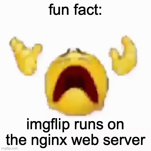 :nooo: | fun fact:; imgflip runs on the nginx web server | image tagged in nooo | made w/ Imgflip meme maker