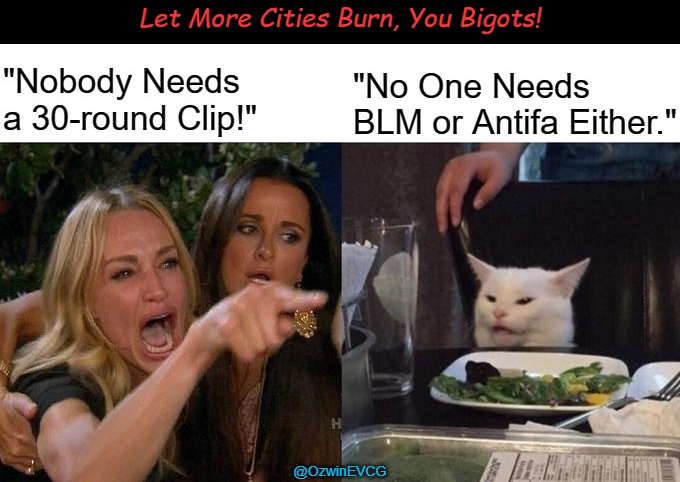 Let More Cities Burn, You Bigots! | Let More Cities Burn, You Bigots! @OzwinEVCG | image tagged in woman yelling at cat,blm,black licorice malfunctions,antifa,asstifa,self-defense | made w/ Imgflip meme maker