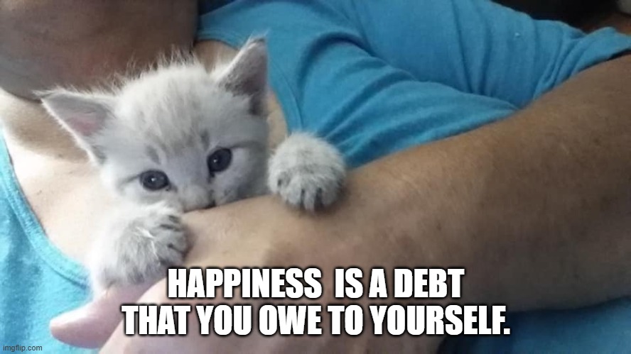 debt | HAPPINESS  IS A DEBT THAT YOU OWE TO YOURSELF. | image tagged in cat | made w/ Imgflip meme maker