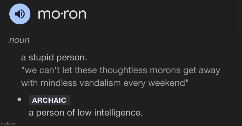 Moron definition | image tagged in moron definition | made w/ Imgflip meme maker