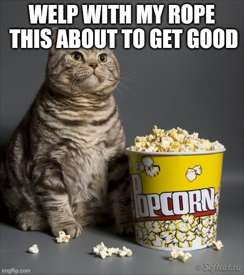 Cat eating popcorn | WELP WITH MY ROPE  THIS ABOUT TO GET GOOD | image tagged in cat eating popcorn | made w/ Imgflip meme maker