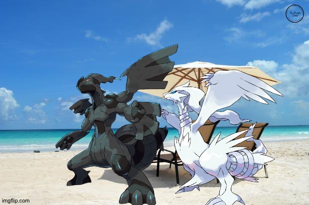 Zekrom and Reshiram having fun at the beach | image tagged in beach | made w/ Imgflip meme maker