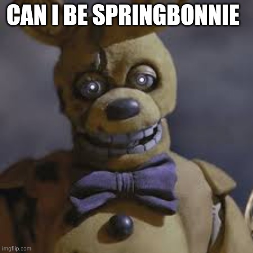 Can I be springbonnie if it is available? | CAN I BE SPRINGBONNIE | image tagged in springbonnie | made w/ Imgflip meme maker