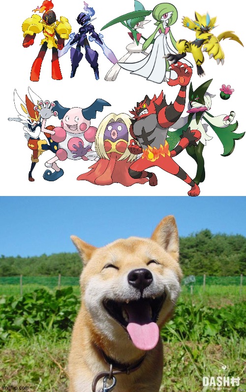 Happy dog loves Humanoid Pokémon | image tagged in happy dog,pokemon | made w/ Imgflip meme maker