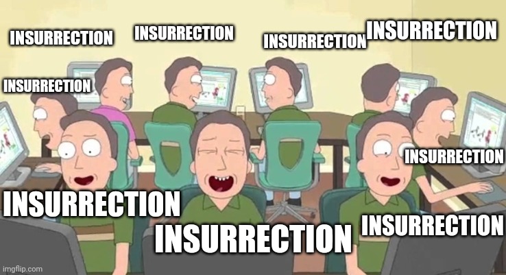 Echo Chamber Jerry | INSURRECTION INSURRECTION INSURRECTION INSURRECTION INSURRECTION INSURRECTION INSURRECTION INSURRECTION INSURRECTION | image tagged in echo chamber jerry | made w/ Imgflip meme maker