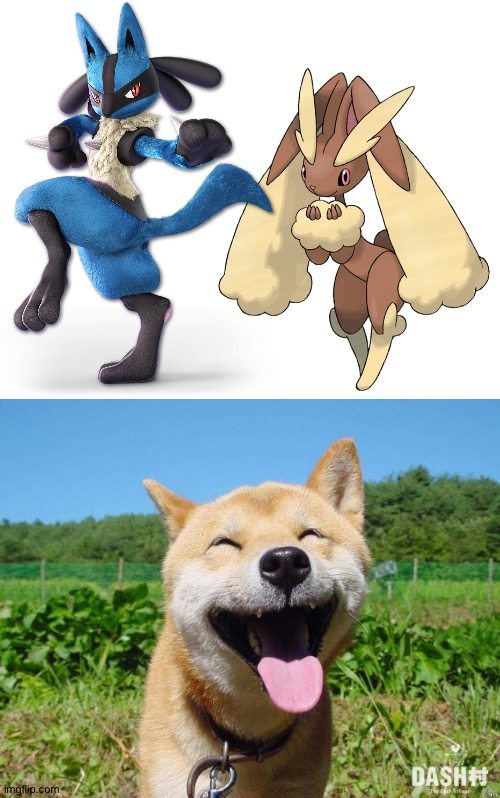 Happy dog loves Lucario and Lopunny as a couple | image tagged in happy dog | made w/ Imgflip meme maker