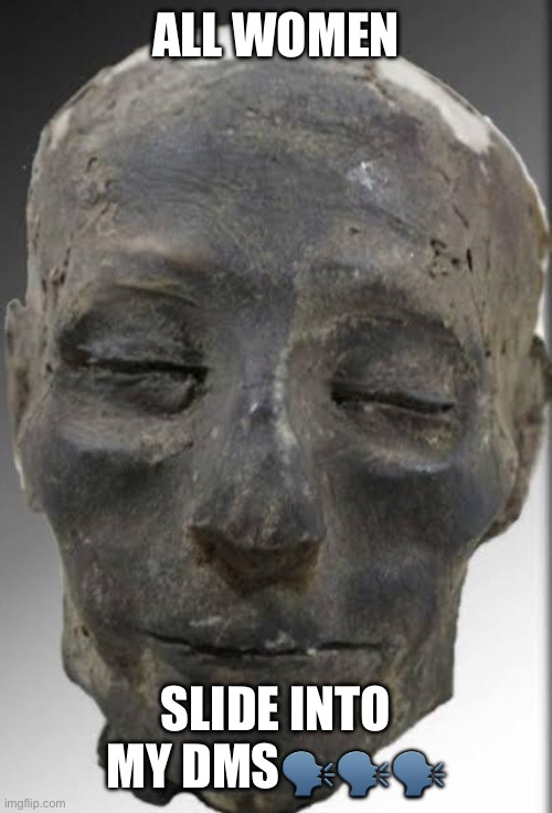 Mummified rizz | ALL WOMEN; SLIDE INTO MY DMS🗣️🗣️🗣️ | image tagged in mummified rizz | made w/ Imgflip meme maker