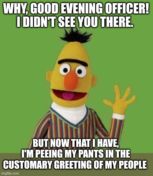 Please don't search me | WHY, GOOD EVENING OFFICER! I DIDN'T SEE YOU THERE. BUT NOW THAT I HAVE, I'M PEEING MY PANTS IN THE CUSTOMARY GREETING OF MY PEOPLE | image tagged in bert sesame street | made w/ Imgflip meme maker