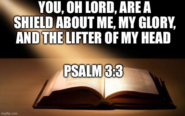 Bible | YOU, OH LORD, ARE A SHIELD ABOUT ME, MY GLORY, AND THE LIFTER OF MY HEAD; PSALM 3:3 | image tagged in bible,bible verse,christianity,god | made w/ Imgflip meme maker