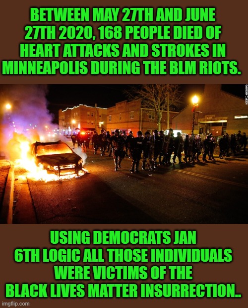 You made the rules | BETWEEN MAY 27TH AND JUNE 27TH 2020, 168 PEOPLE DIED OF HEART ATTACKS AND STROKES IN MINNEAPOLIS DURING THE BLM RIOTS. USING DEMOCRATS JAN 6TH LOGIC ALL THOSE INDIVIDUALS WERE VICTIMS OF THE BLACK LIVES MATTER INSURRECTION.. | image tagged in democrats | made w/ Imgflip meme maker