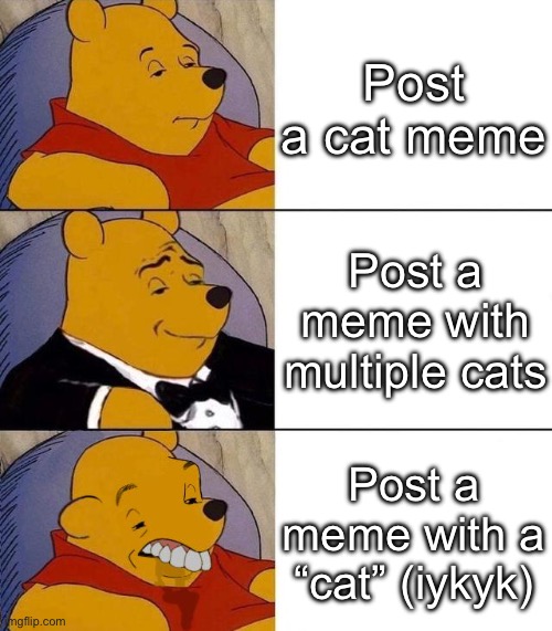 Nahh | Post a cat meme; Post a meme with multiple cats; Post a meme with a “cat” (iykyk) | image tagged in best better blurst | made w/ Imgflip meme maker