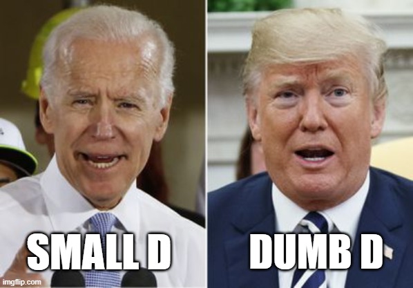 Joe Don | DUMB D; SMALL D | image tagged in biden trump,biden - will you shut up man,dump trump,nevertrump,donald trump is an idiot,anti trump | made w/ Imgflip meme maker