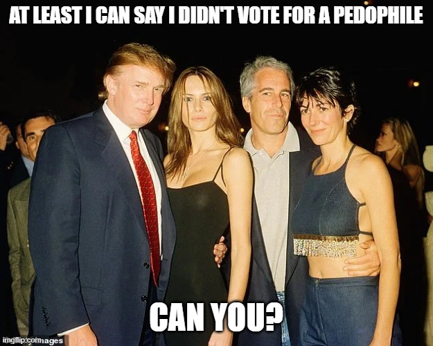 pedophile in thief | AT LEAST I CAN SAY I DIDN'T VOTE FOR A PEDOPHILE; CAN YOU? | image tagged in maga,donald trump,jeffrey epstein,pedophile | made w/ Imgflip meme maker