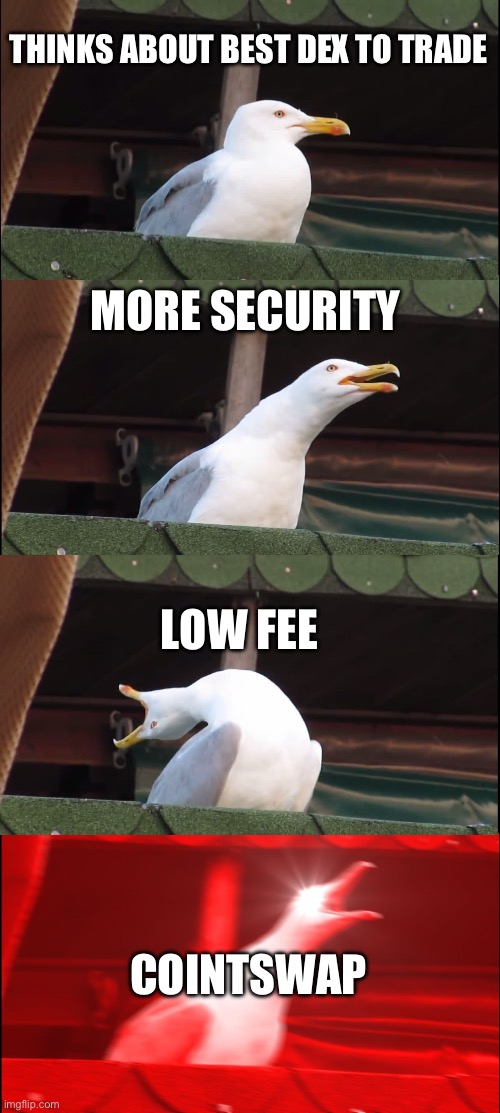 Inhaling Seagull Meme | THINKS ABOUT BEST DEX TO TRADE; MORE SECURITY; LOW FEE; COINTSWAP | image tagged in memes,inhaling seagull,coint,cryptocurrency,dex | made w/ Imgflip meme maker