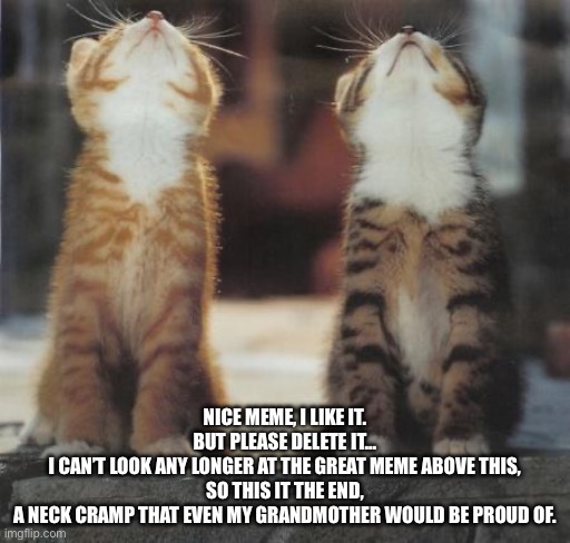cats looking up | NICE MEME, I LIKE IT.
BUT PLEASE DELETE IT…
I CAN’T LOOK ANY LONGER AT THE GREAT MEME ABOVE THIS,
SO THIS IT THE END,
A NECK CRAMP THAT EVEN MY GRANDMOTHER WOULD BE PROUD OF. | image tagged in cats looking up | made w/ Imgflip meme maker