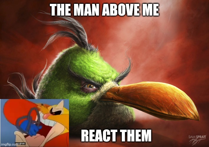Lol | THE MAN ABOVE ME; REACT THEM | image tagged in realistic angry bird | made w/ Imgflip meme maker