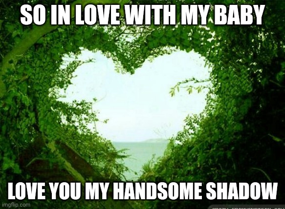 nature heart | SO IN LOVE WITH MY BABY; LOVE YOU MY HANDSOME SHADOW | image tagged in nature heart | made w/ Imgflip meme maker