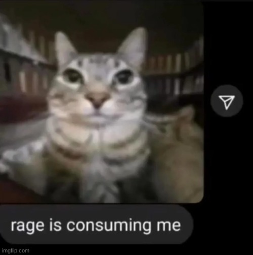 rage is consuming me | image tagged in rage is consuming me | made w/ Imgflip meme maker