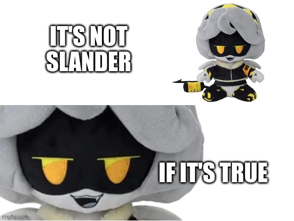 Now is it?(lala: slander is slander stfu) | IT'S NOT
SLANDER; IF IT'S TRUE | image tagged in slander | made w/ Imgflip meme maker