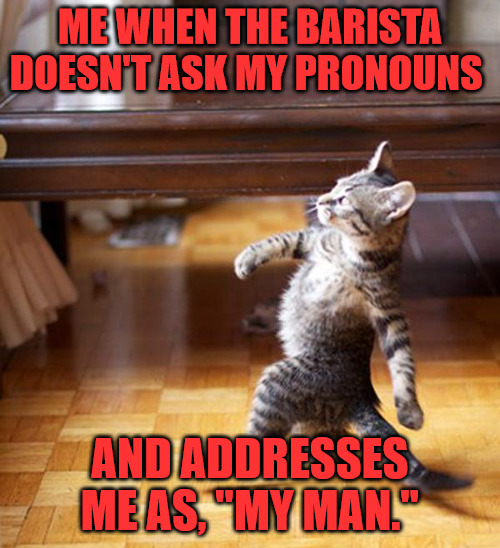 My Pronouns | ME WHEN THE BARISTA DOESN'T ASK MY PRONOUNS; AND ADDRESSES ME AS, "MY MAN." | image tagged in strutting kitten | made w/ Imgflip meme maker
