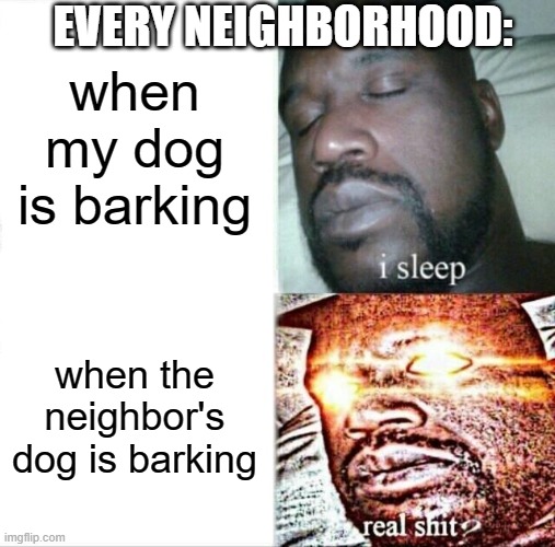 relatable | EVERY NEIGHBORHOOD:; when my dog is barking; when the neighbor's dog is barking | image tagged in memes,sleeping shaq | made w/ Imgflip meme maker