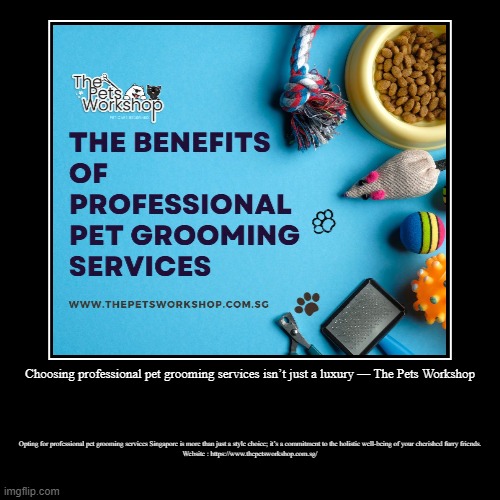 Choosing professional pet grooming services isn’t just a luxury — The