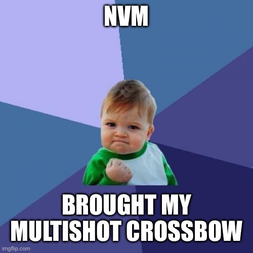 Success Kid Meme | NVM BROUGHT MY MULTISHOT CROSSBOW | image tagged in memes,success kid | made w/ Imgflip meme maker