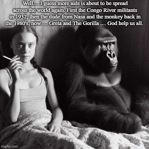 Greta and The Gorilla | Well.... I guess more aids is about to be spread across the world again. First the Congo River militants in 1932, then the dude from Nasa and the monkey back in the 1980's, now..... Greta and The Gorilla .... God help us all. | image tagged in greta thunberg,gorilla,king kong,aids,climate change,memes | made w/ Imgflip meme maker