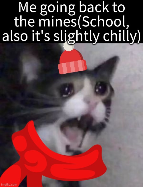 Winter break's over for me yall? | Me going back to the mines(School, also it's slightly chilly) | image tagged in memes,funny,relatable,crying cat,winter,i never know what to put for tags | made w/ Imgflip meme maker