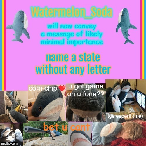 soda's gayass blahaj temp | name a state without any letter; bet u cant | image tagged in soda's gayass blahaj temp | made w/ Imgflip meme maker