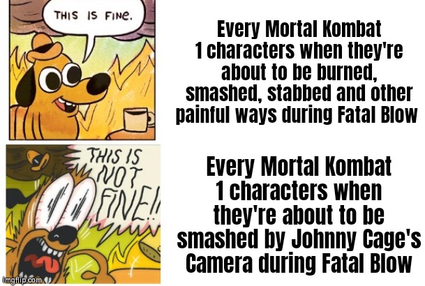 Why are they screaming "NOOO!!" so loud during Johnny Cage's Fatal Blow? XD | Every Mortal Kombat 1 characters when they're about to be burned, smashed, stabbed and other painful ways during Fatal Blow; Every Mortal Kombat 1 characters when they're about to be smashed by Johnny Cage's Camera during Fatal Blow | image tagged in this is fine this is not fine,memes,funny,mortal kombat | made w/ Imgflip meme maker