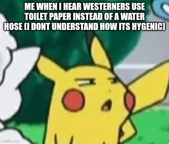Im indian btw | ME WHEN I HEAR WESTERNERS USE TOILET PAPER INSTEAD OF A WATER HOSE (I DONT UNDERSTAND HOW ITS HYGENIC) | image tagged in pikachu bruh face,fun | made w/ Imgflip meme maker