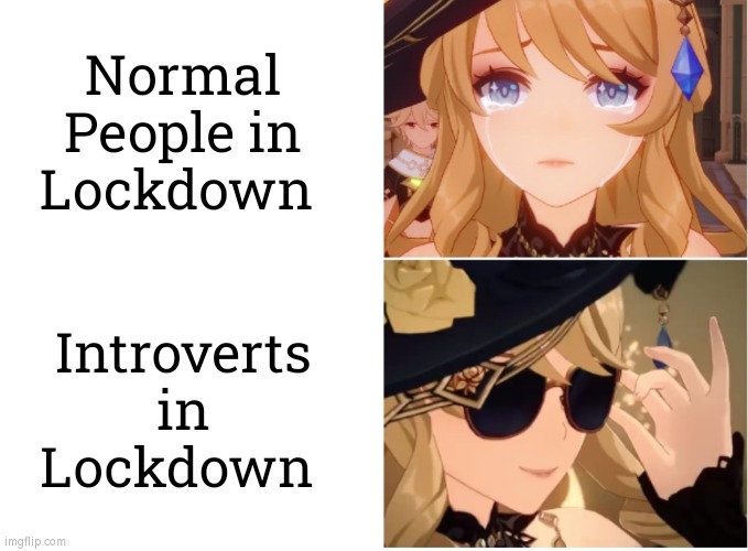 I'm glad to be the part as introverts. | Normal People in Lockdown; Introverts in Lockdown | image tagged in memes,funny,lockdown,people,introverts | made w/ Imgflip meme maker