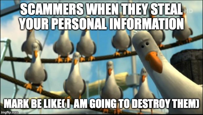 scammers when they steal your info | SCAMMERS WHEN THEY STEAL YOUR PERSONAL INFORMATION; MARK BE LIKE( I  AM GOING TO DESTROY THEM) | image tagged in nemo seagulls mine | made w/ Imgflip meme maker
