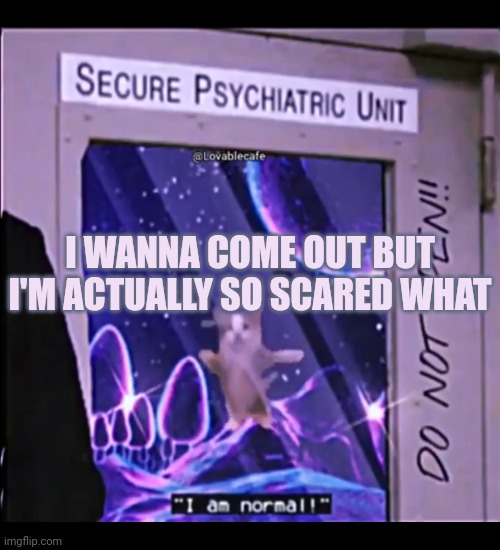 Bc I never really did ig- | I WANNA COME OUT BUT I'M ACTUALLY SO SCARED WHAT | image tagged in i am normal secure psychiatric unit | made w/ Imgflip meme maker