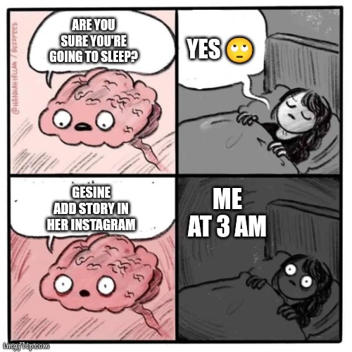 Are you sleeping brain  | YES 🙄; ARE YOU SURE YOU'RE GOING TO SLEEP? GESINE ADD STORY IN HER INSTAGRAM; ME AT 3 AM | image tagged in are you sleeping brain | made w/ Imgflip meme maker