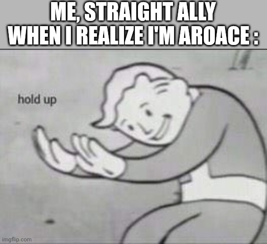 *realization* | ME, STRAIGHT ALLY WHEN I REALIZE I'M AROACE : | image tagged in fallout hold up | made w/ Imgflip meme maker