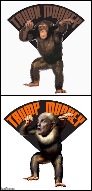 Rudy Colludy. Chimp for Chump. Now Lives In A Trunk. | image tagged in donald trump,rudy giuliani,trunk monkey,trump monkey | made w/ Imgflip meme maker