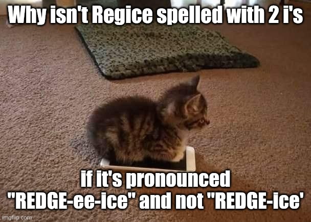 regiice | Why isn't Regice spelled with 2 i's; if it's pronounced "REDGE-ee-ice" and not "REDGE-ice' | image tagged in cat sitting phone | made w/ Imgflip meme maker