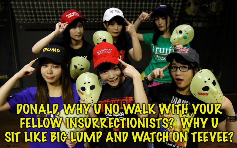 Trump Supporters | DONALD, WHY U NO WALK WITH YOUR FELLOW INSURRECTIONISTS?  WHY U SIT LIKE BIG LUMP AND WATCH ON TEEVEE? | image tagged in trump supporters | made w/ Imgflip meme maker