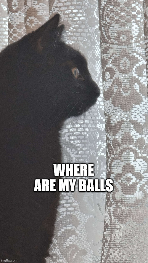 Where are my balls | WHERE ARE MY BALLS | image tagged in contemplating stuart | made w/ Imgflip meme maker
