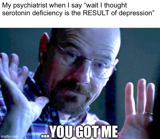 it’s actually capitalism now buy these pills that multinational pharmaceutical companies sell you for $500 a month to make you f | My psychiatrist when I say “wait I thought serotonin deficiency is the RESULT of depression”; …YOU GOT ME | image tagged in walter you got me,depression,big pharma,capitalism | made w/ Imgflip meme maker
