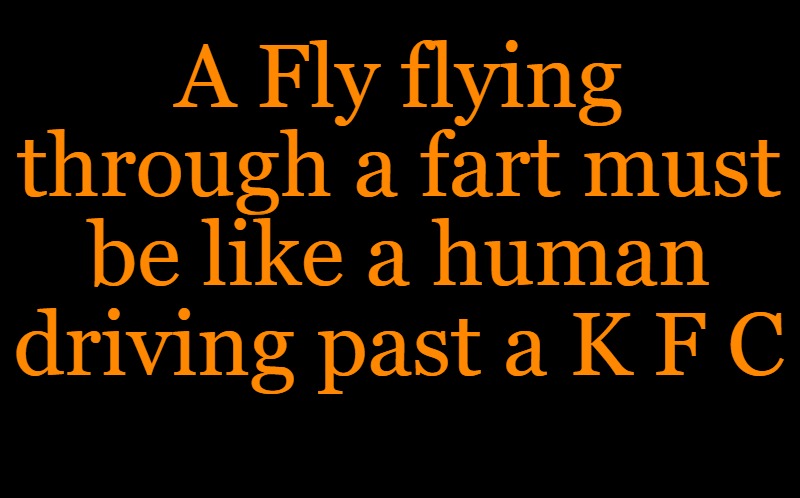 black screen | A Fly flying through a fart must be like a human driving past a K F C | image tagged in black screen | made w/ Imgflip meme maker