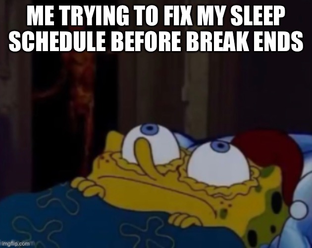 It’s 4:31 am right now lol ;-; | ME TRYING TO FIX MY SLEEP SCHEDULE BEFORE BREAK ENDS | image tagged in sleep,spongebob | made w/ Imgflip meme maker