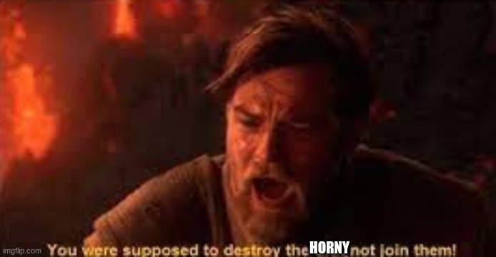you were supposed to destroy the sith! | HORNY | image tagged in you were supposed to destroy the sith | made w/ Imgflip meme maker