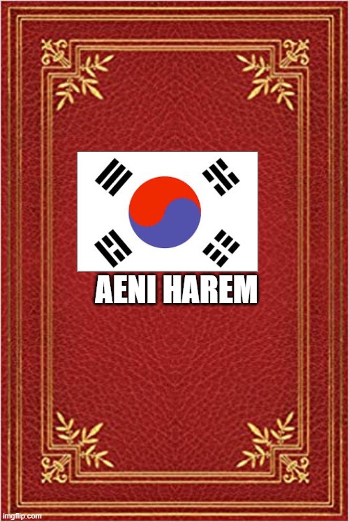 Aeni harem | AENI HAREM | image tagged in red book cover,harem,aeni,anime | made w/ Imgflip meme maker