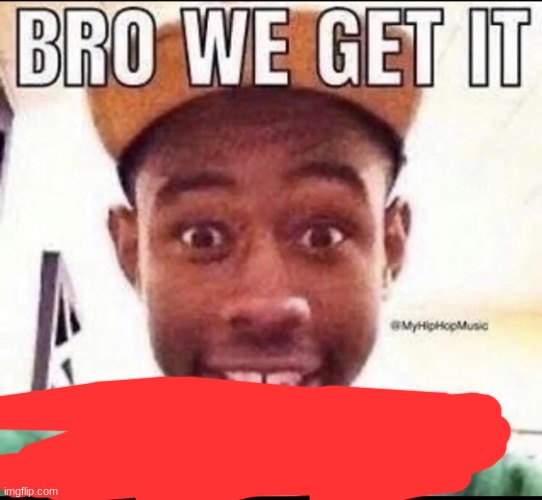 BRO WE GET IT YOU'RE GAY | image tagged in bro we get it you're gay | made w/ Imgflip meme maker